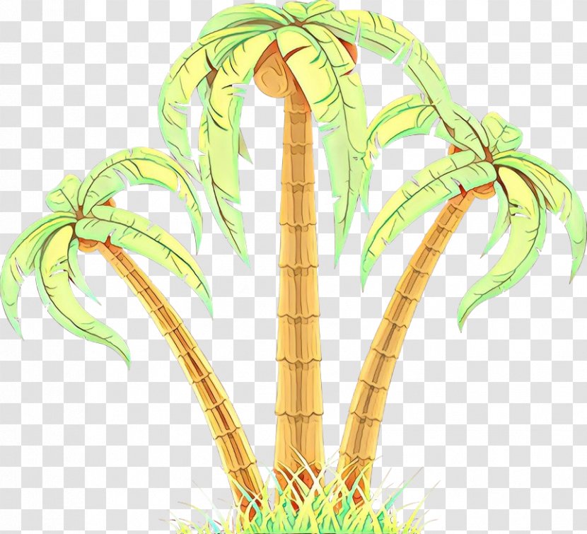Palm Trees Plant Stem Grasses Illustration - Nepenthes Transparent PNG