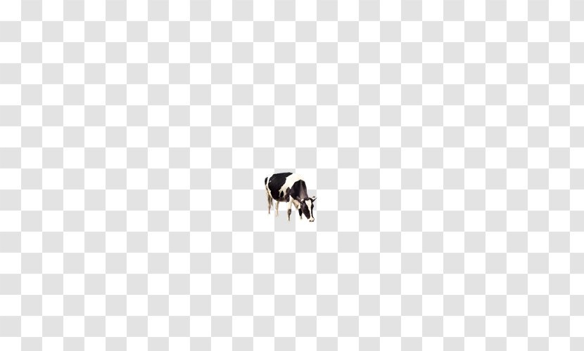 Dairy Cattle - Animal - Cow Transparent PNG