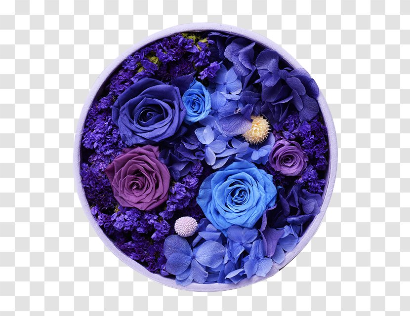 Blue Rose Floral Design Flower - Violet - Box Immortalized Buckle Clip Free Transparent PNG