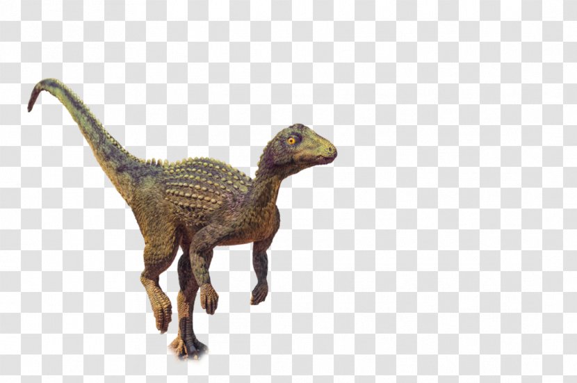 Velociraptor Photography Instagram - Dinosaur - Dino Transparent PNG