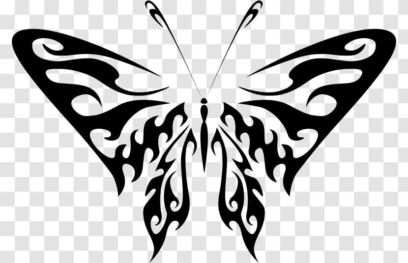 A Butterfly Art Drawing Clip - Photography Transparent PNG