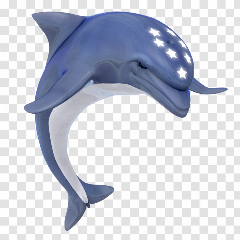 Ecco The Dolphin Common Bottlenose La Plata Tucuxi Rough-toothed - Short Beaked Transparent PNG