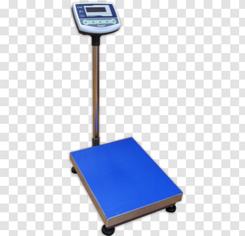 Measuring Scales SCALE Enterprise Measurement CAS Corporation Accuracy And Precision - Tool - Rupees Symbol Transparent PNG