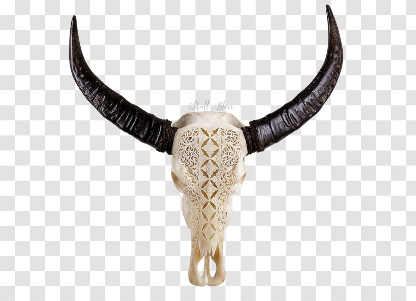 Cattle Necklace - Horn - Buffalo Skull Transparent PNG