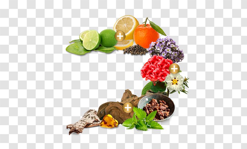 Food Vegetarian Cuisine Pino Silvestre Vegetable Garnish - Natural Foods - Sensuale Transparent PNG