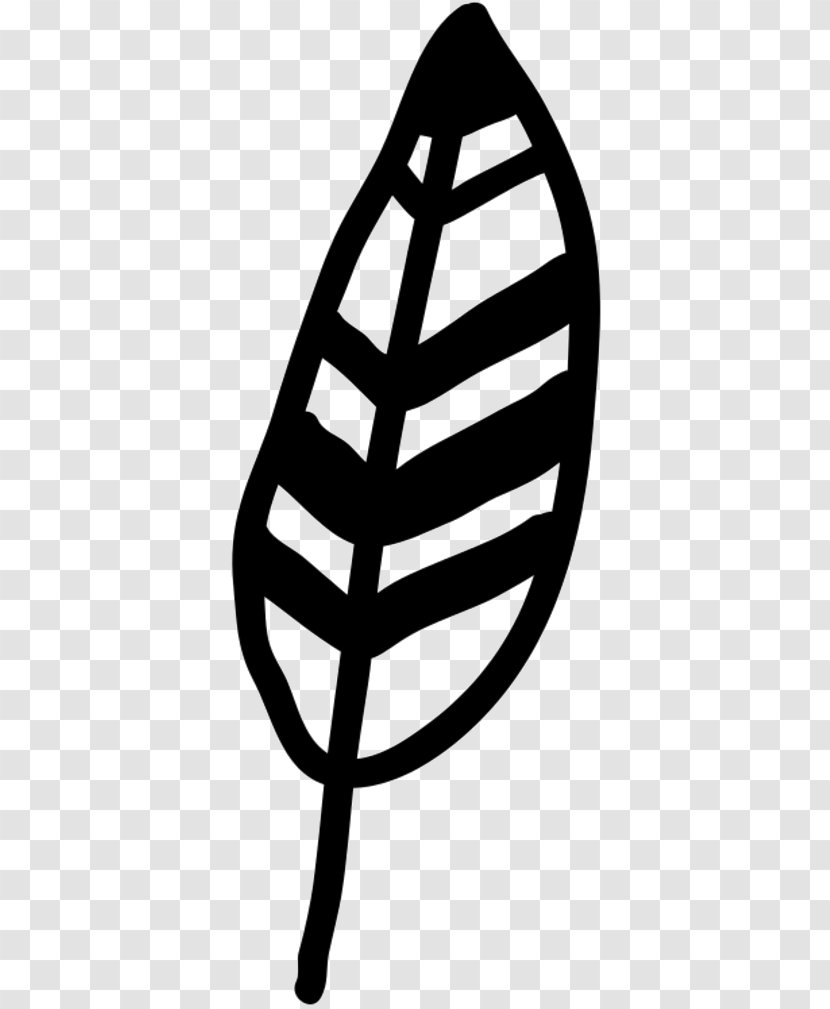 Clip Art Leaf Black & White - M - Line Transparent PNG