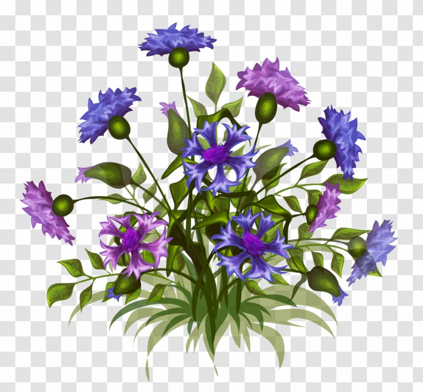Floral Design Flower Vector Graphics Image Illustration - Bellflower Family Transparent PNG