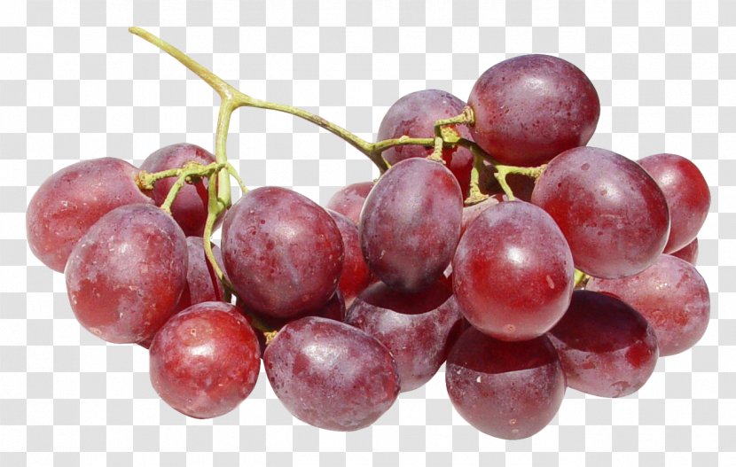 Red Wine Common Grape Vine Dog - Prune - Grapes Transparent PNG