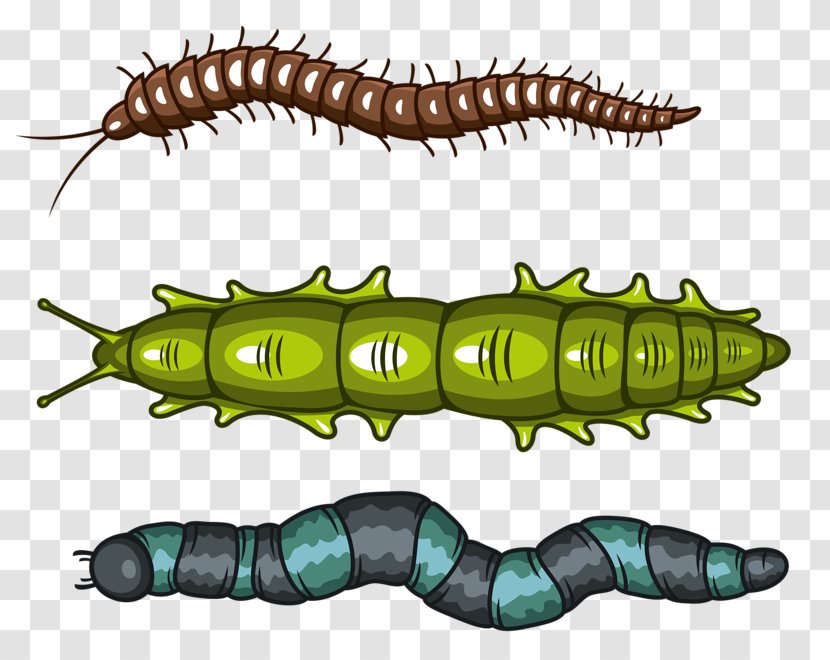 Caterpillar Inc. Worm Transparent PNG
