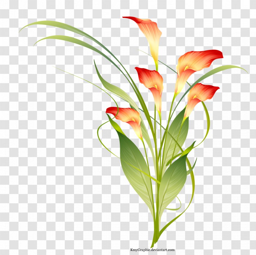 Flower Clip Art - Arranging - Nursery Transparent PNG