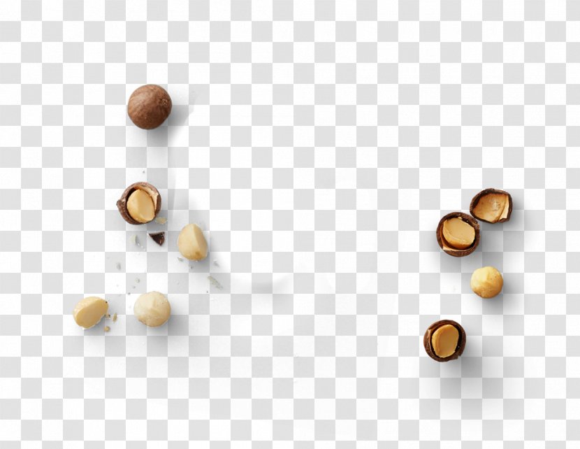 Superfood - Nut - Macadamia Nuts Transparent PNG