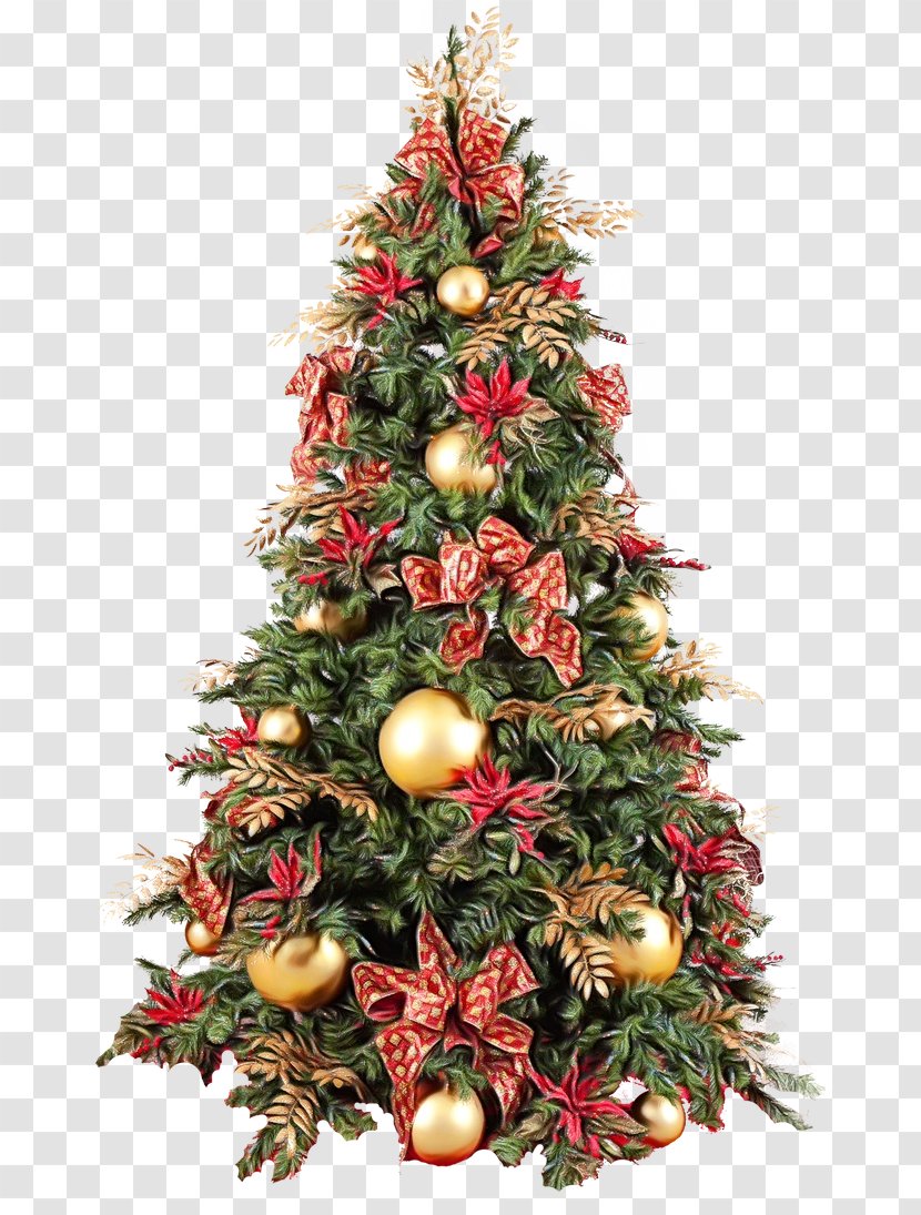 Christmas Tree - Plant - Fir Holiday Ornament Transparent PNG