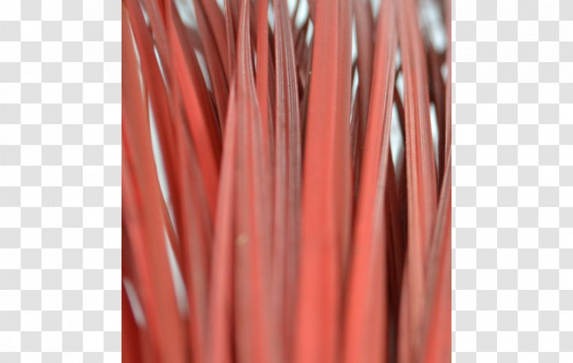 Silk Plant Stem Velvet - Textile - Twigs Of Roses Transparent PNG