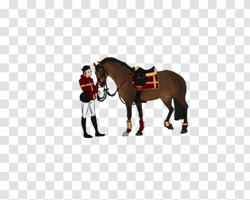 Stallion Rein Mustang Mare Western Pleasure - Pony Transparent PNG