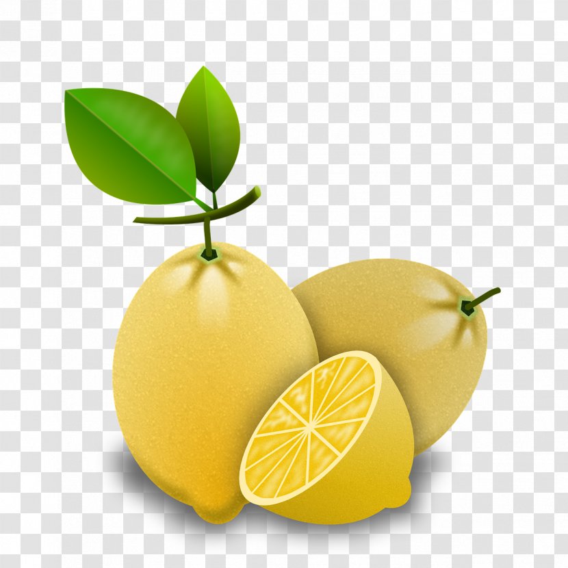 Lemon Key Lime Image Persian Transparent PNG