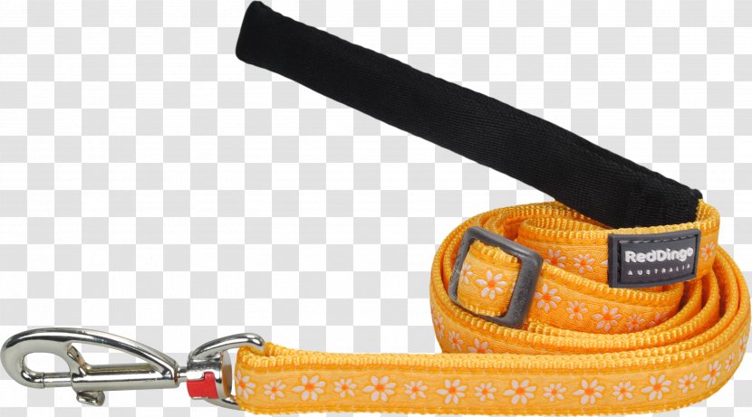 Leash Strap - Orange - Design Transparent PNG