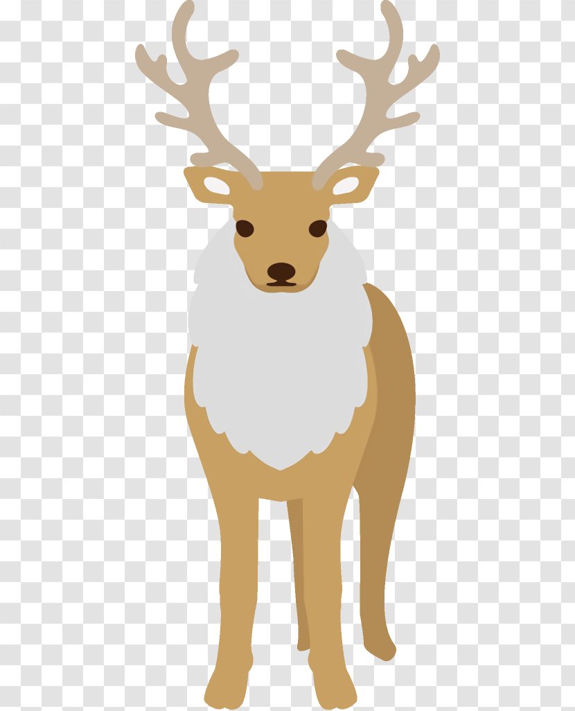 Reindeer Christmas - Deer - Elk Fawn Transparent PNG