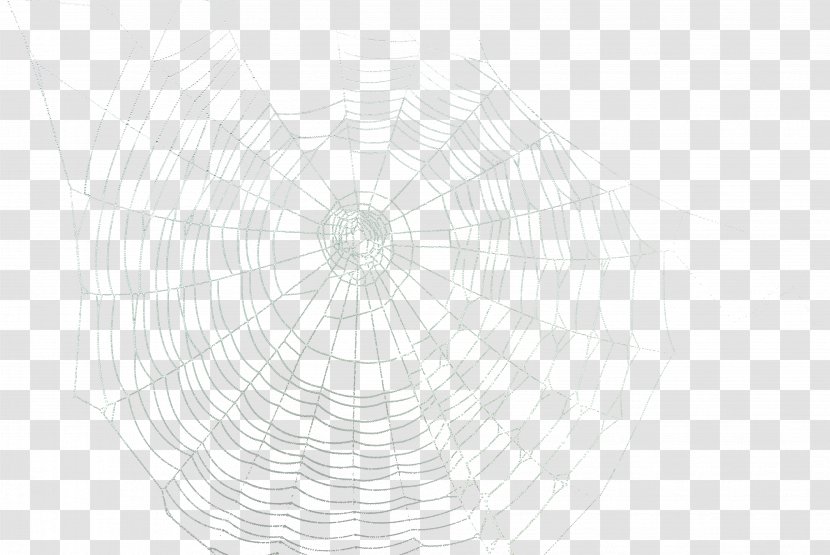 Symmetry Book Koschei Pattern - Spider Web Material Transparent PNG