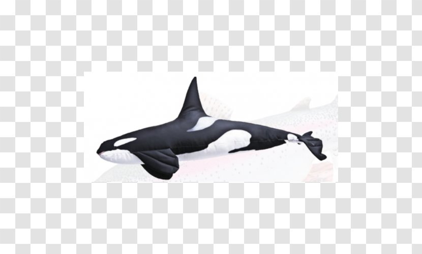 Common Carp Killer Whale Pillow Bony Fishes Fishing Transparent PNG