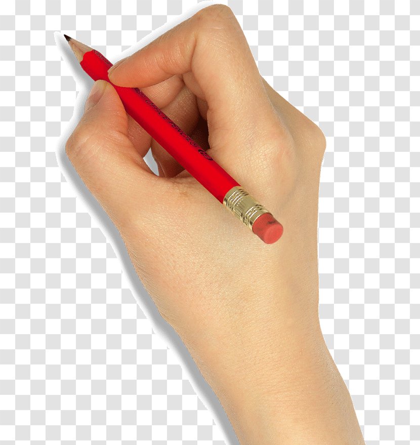 Pen Writing Download - Holding A To Write Transparent PNG