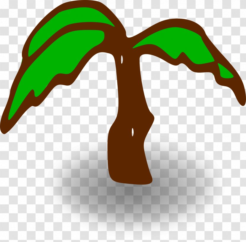 Arecaceae Clip Art - Coconut - Palm Tree Transparent PNG