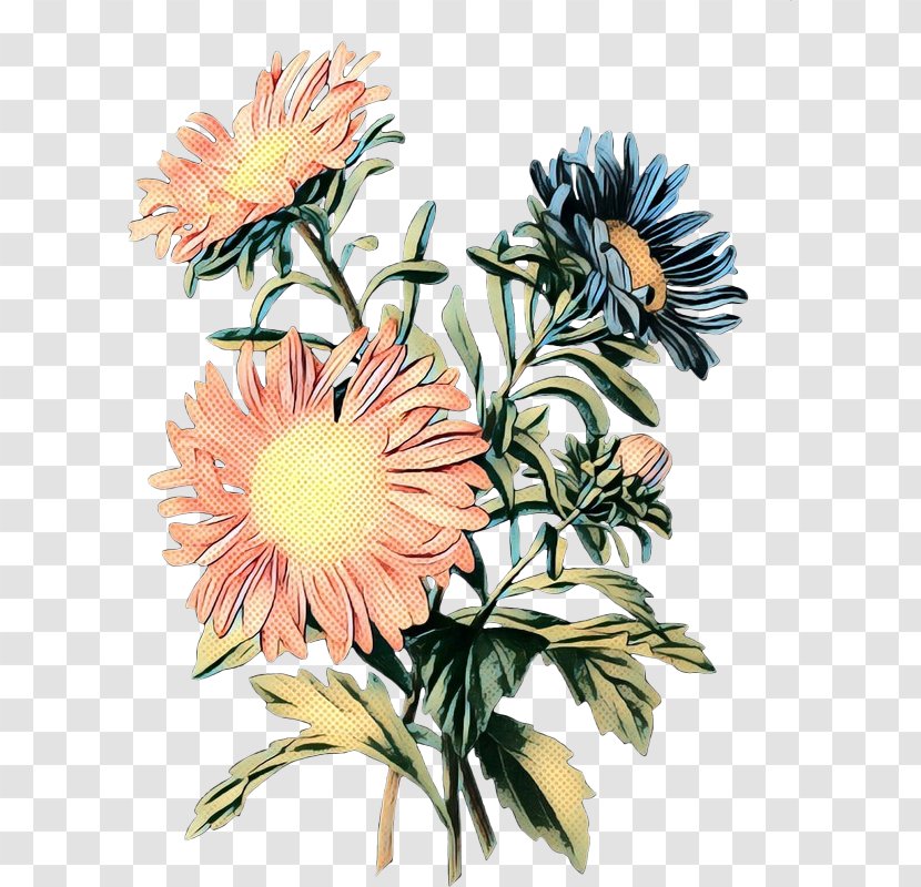 Floral Design Cut Flowers Chrysanthemum Transvaal Daisy - Chrysanths - Gerbera Transparent PNG