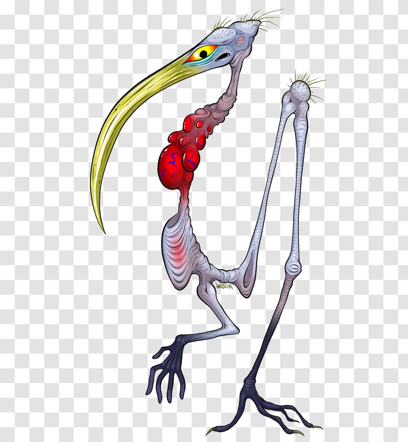 Beak Velociraptor Bird Clip Art Transparent PNG