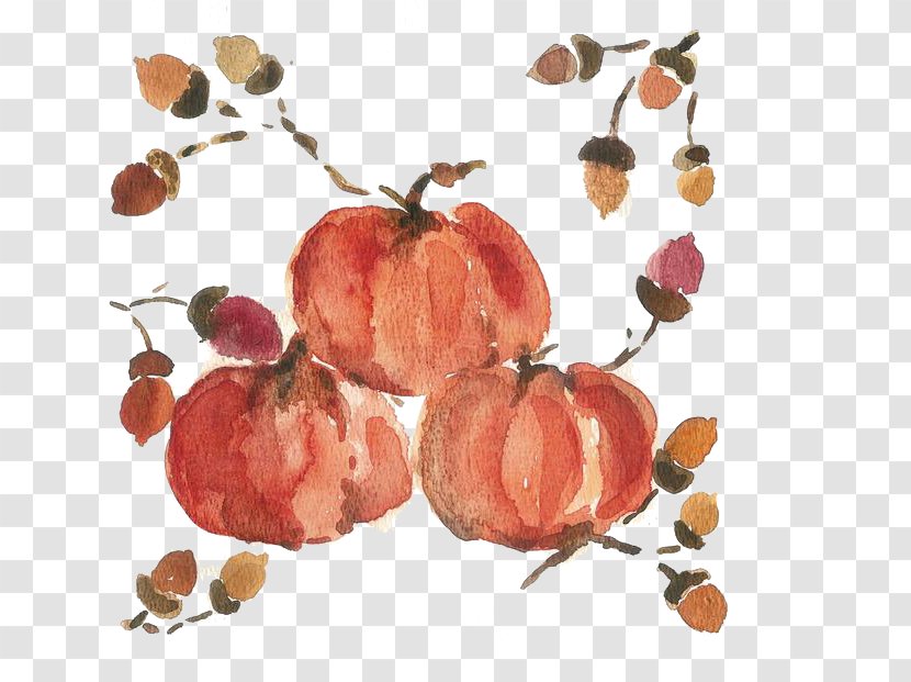 Watercolor Painting Chinese Canvas - Color - Persimmon Transparent PNG