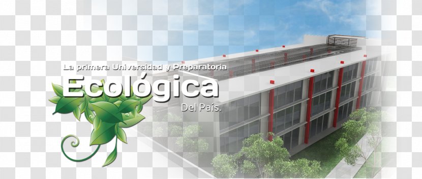 Guizar University And Valencia Universidad Latinoamericana Cuernavaca Preparatoria Licentiate - Real Estate Transparent PNG