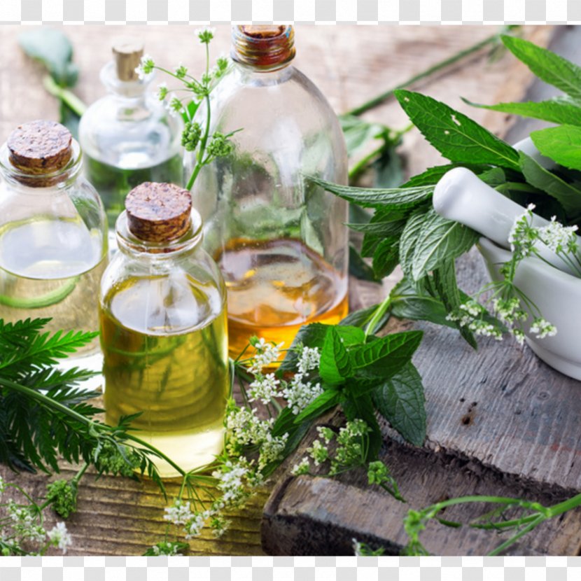 Essential Oil Petitgrain Tea Tree Natural Skin Care Transparent PNG