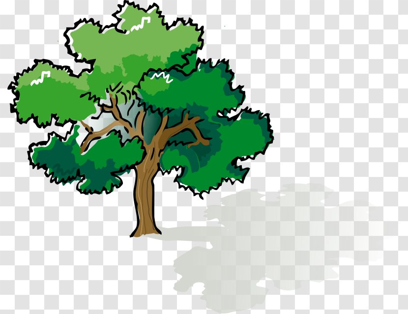 Student East Midlands Counties Football League School Teacher Class - Ofsted - Cartoon Oak Tree Transparent PNG