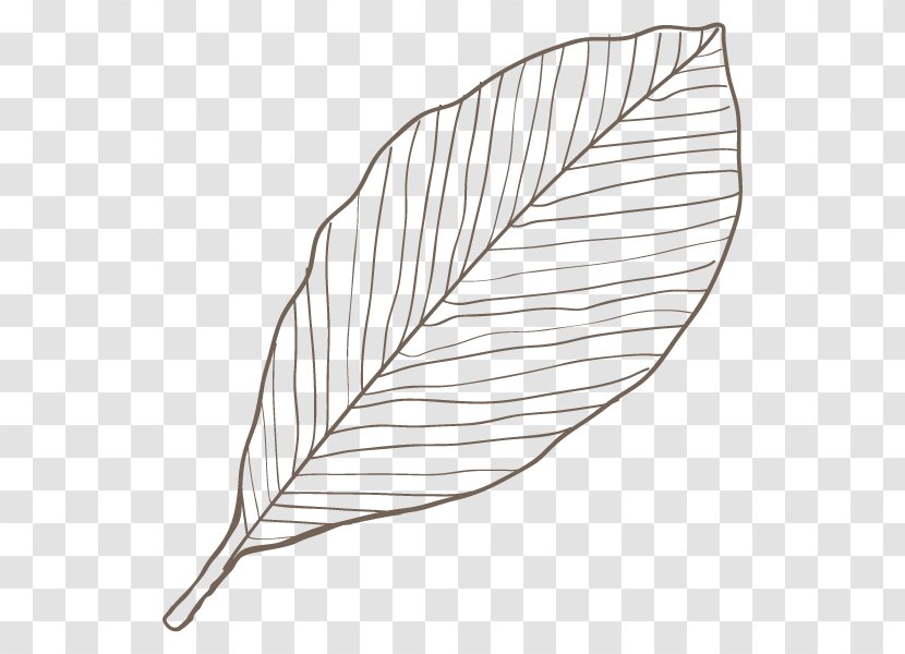 Line Art Leaf Angle - Petal - Area Transparent PNG