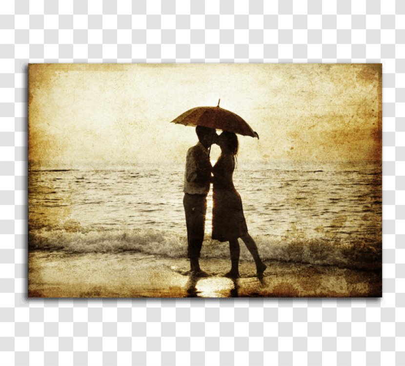 YouTube Photography Desktop Wallpaper - Romance - Youtube Transparent PNG