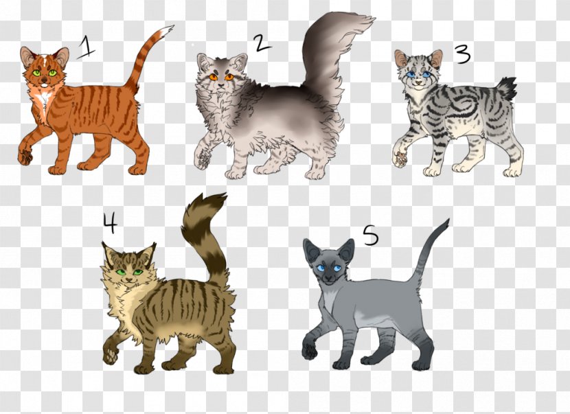 American Shorthair Toyger Domestic Short-haired Cat Tabby Wildcat - Organism - Starting Right Meow Transparent PNG