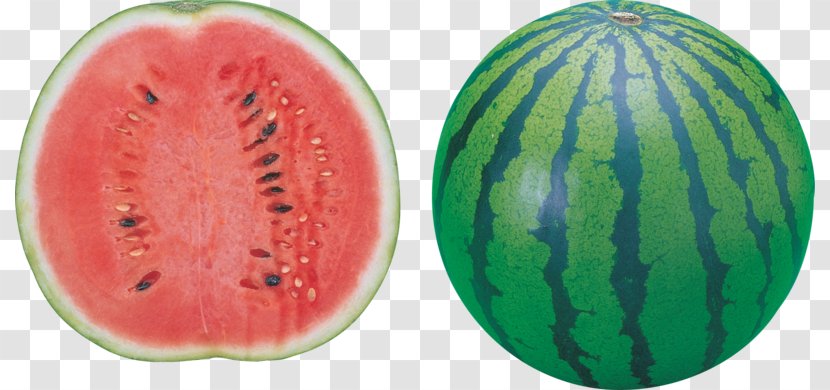 Watermelon Clip Art - Melon Transparent PNG