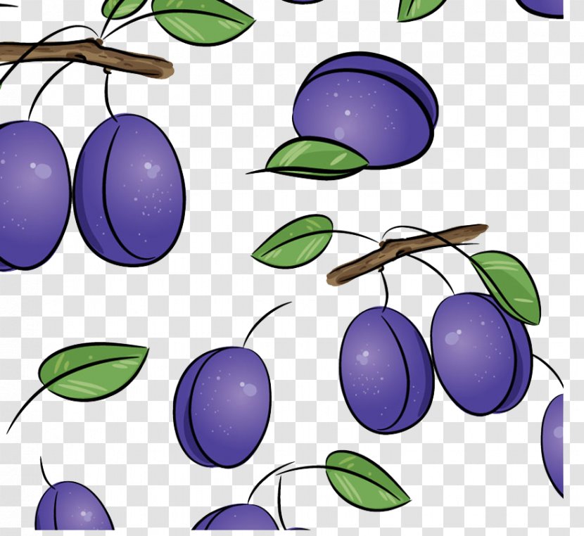 Plum Drawing Royalty-free Illustration - Leaf - Blueberry Purple Background Transparent PNG