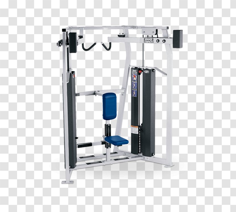 Strength Training Row Fitness Centre Life Bench - Structure - All Motion Technology Ab Transparent PNG