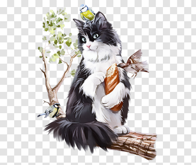 Cat Small To Medium-sized Cats Whiskers Norwegian Forest Cat Black Cat Transparent PNG