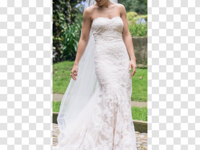 Wedding Dress Ivory Sleeve - Tree Transparent PNG