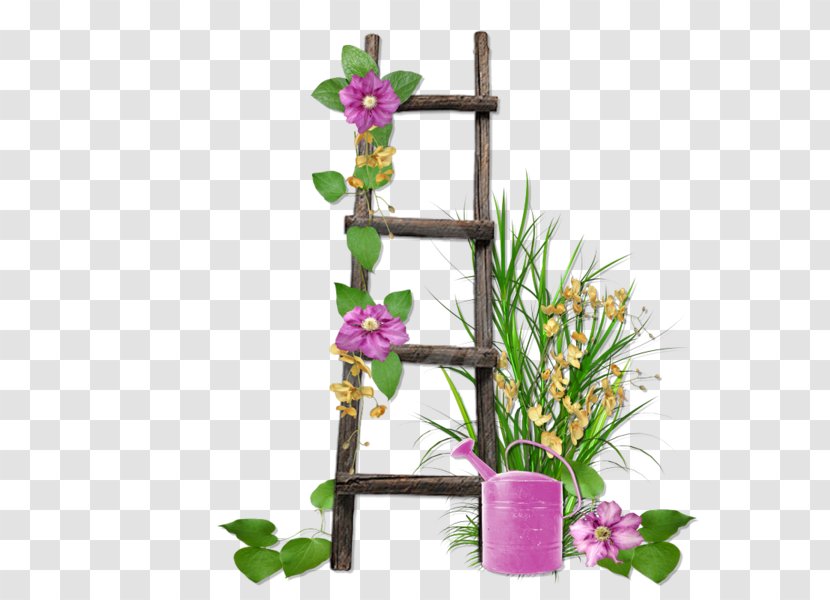 Ladder Wood Flowerpot - Plant Stem - Wooden Transparent PNG