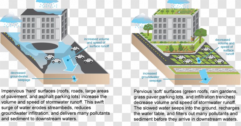 Green Infrastructure Impervious Surface Urban Runoff Stormwater - Swale - Rain Garden Transparent PNG