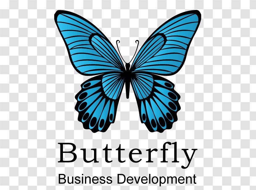 Butterfly Business Development Monarch Web Design Marketing - Behalf Pattern Transparent PNG