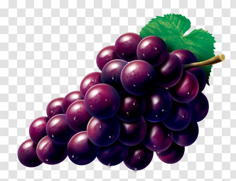 Grape Zante Currant Seedless Fruit - Plant - Vector Grapes Transparent PNG