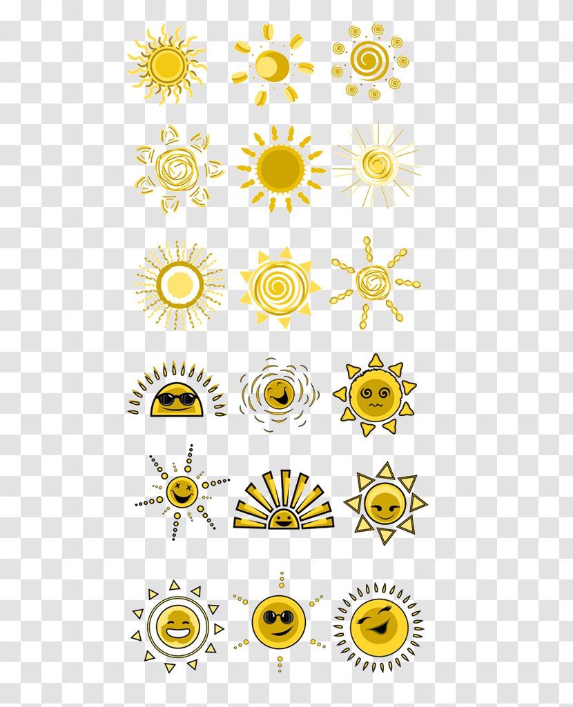 Sun - Area - Floristry Transparent PNG