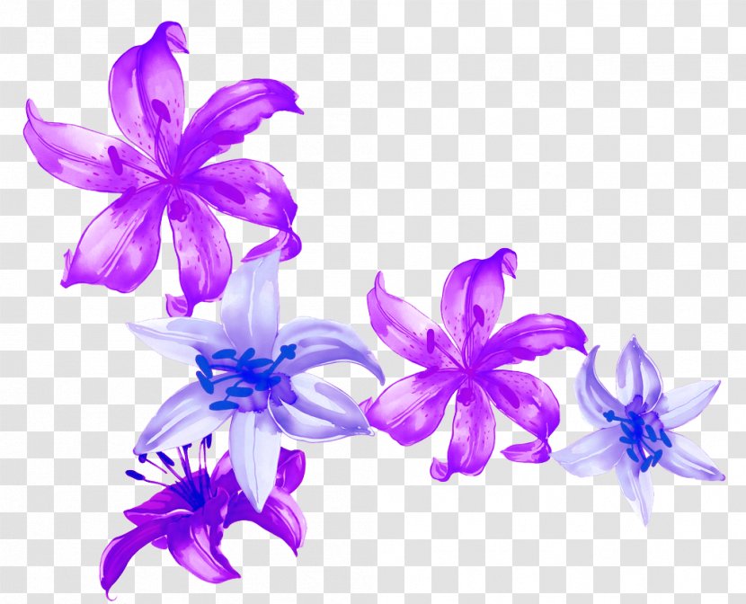 Watercolor Painting Blue Petal Illustration - Lilium - Lily Vector Transparent PNG