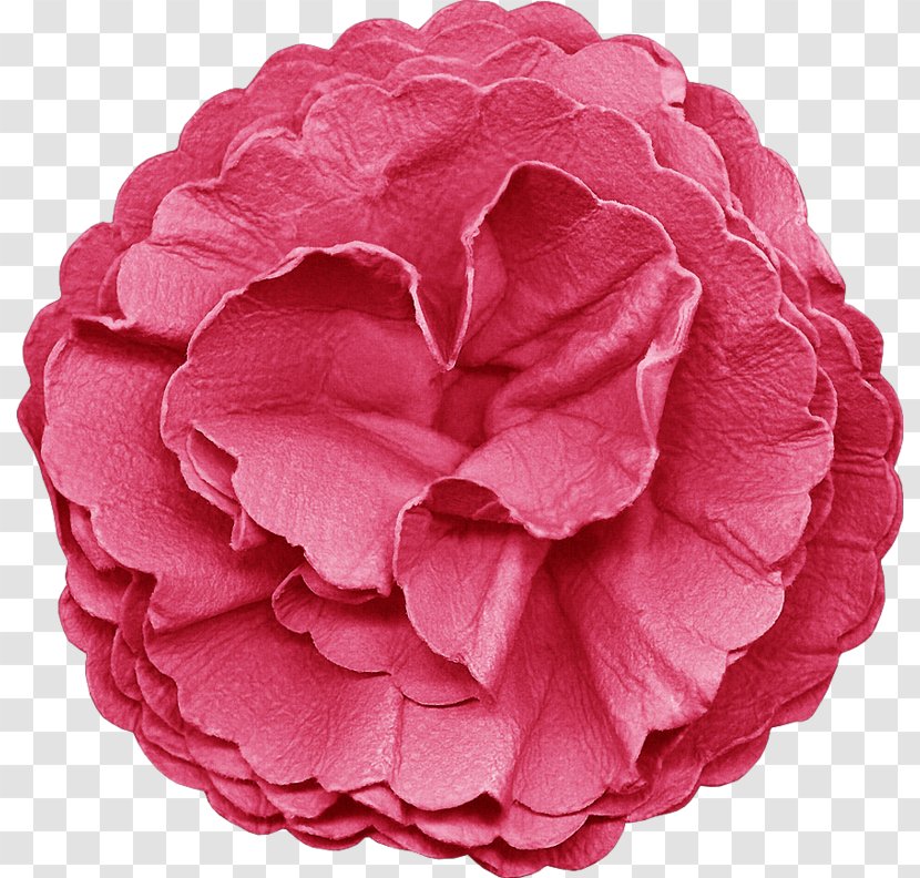 Digital Scrapbooking Collage Garden Roses - Art - Button Transparent PNG