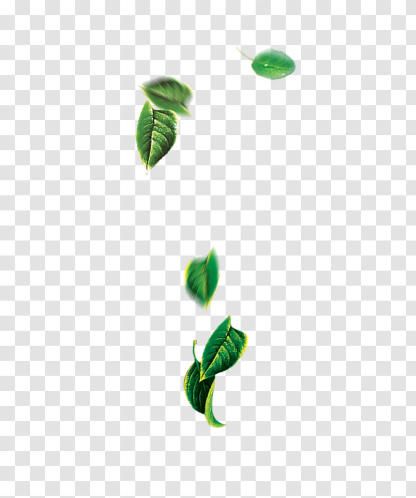 Leaf Green - Free Floating Element Buckle Photos Transparent PNG