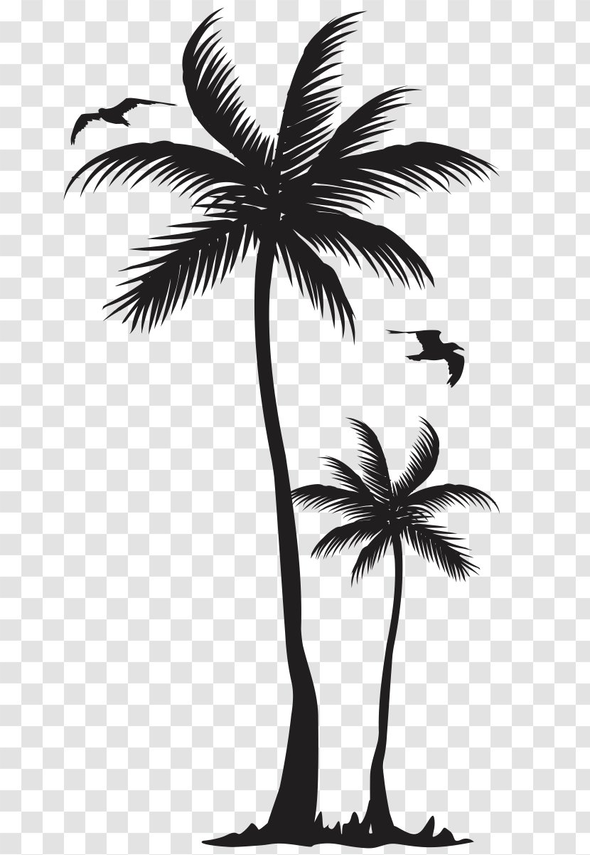 T-shirt Arecaceae Coconut Tree Clothing - Monroe Vector Transparent PNG