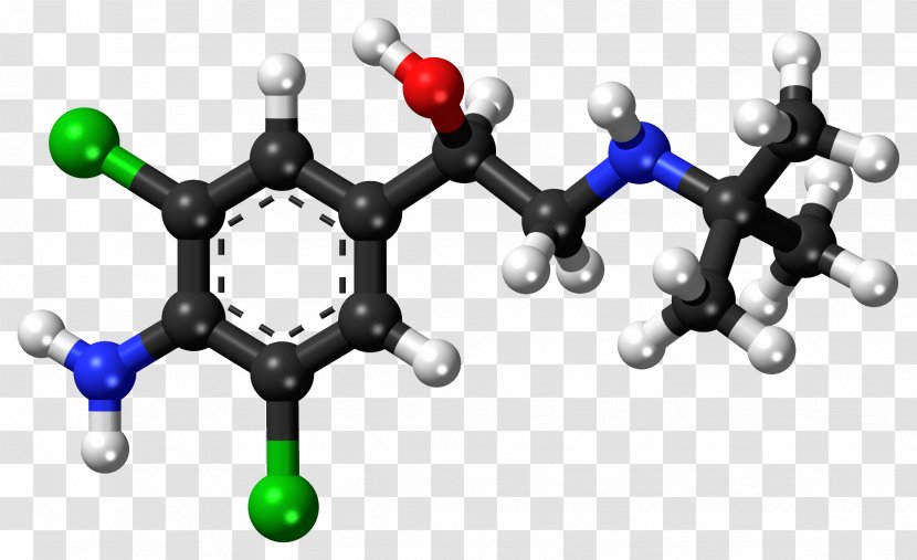 Caffeic Acid P-Coumaric Amino Carboxylic - Clen Transparent PNG