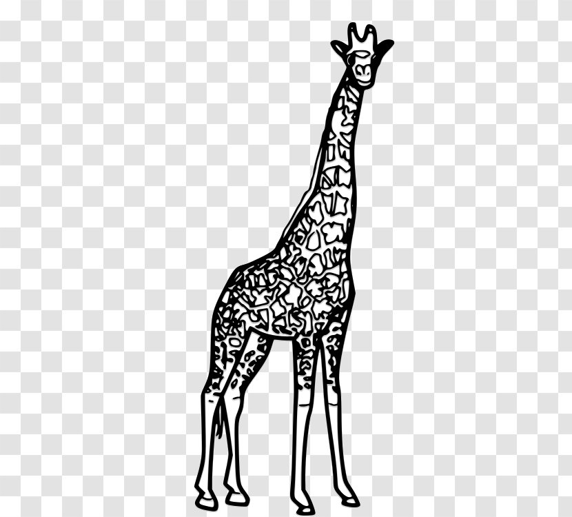 Giraffe Black And White Drawing Clip Art - Angry Birds Blues Transparent PNG